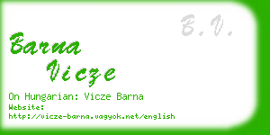 barna vicze business card